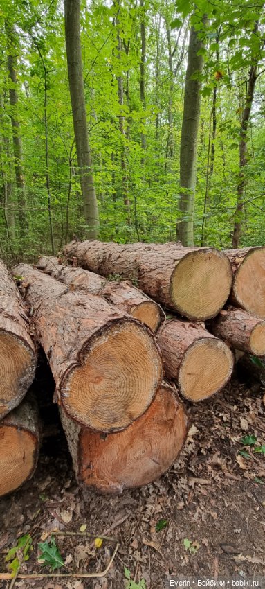 Пойдём погуляем — Куклы Sissel Skille (Сиссель Скилле): Gotz