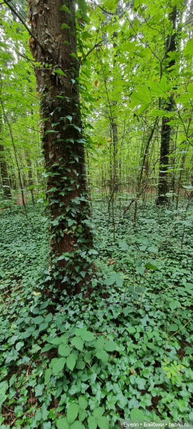 Пойдём погуляем — Куклы Sissel Skille (Сиссель Скилле): Gotz