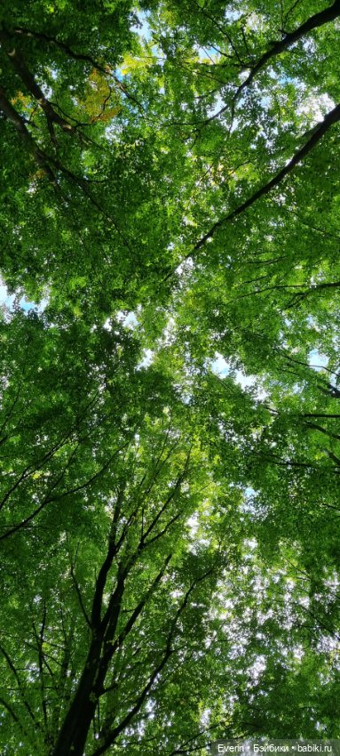 Пойдём погуляем — Куклы Sissel Skille (Сиссель Скилле): Gotz