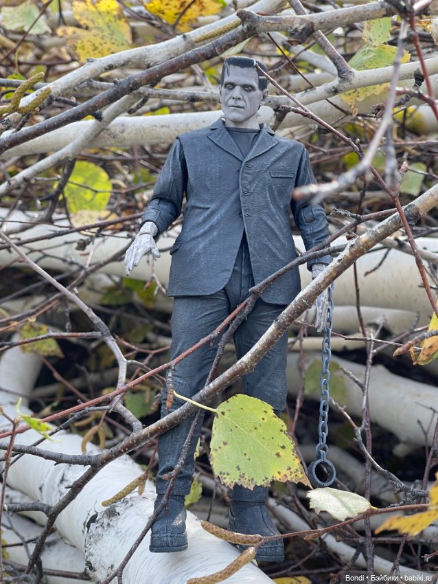 Сентябрьский лес и мой компаньон (фото 7)