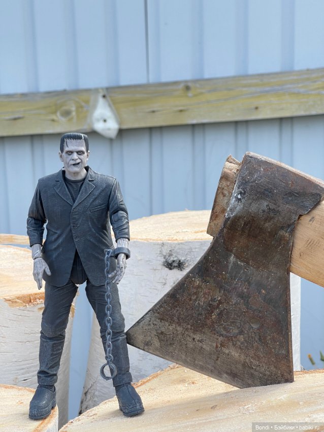 Сентябрьский лес и мой компаньон