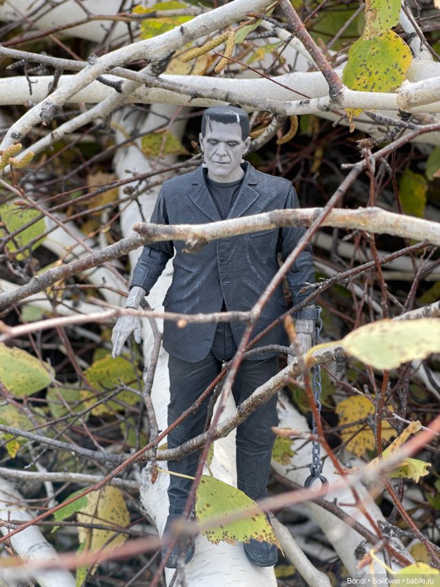 Сентябрьский лес и мой компаньон (фото 9)