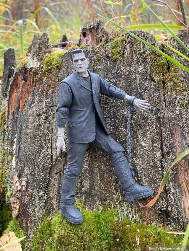 Сентябрьский лес и мой компаньон (фото 6)