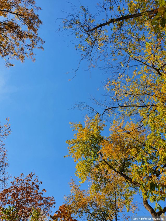 По улицам ходит Осень — Куклы Paola Reina (Паола Рейна): новинки