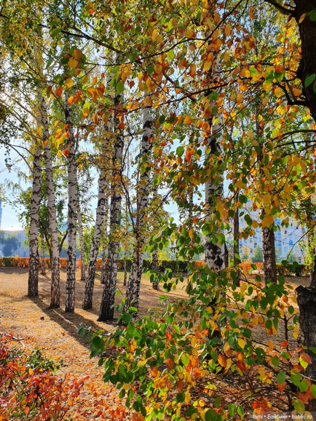 По улицам ходит Осень — Куклы Paola Reina (Паола Рейна): новинки