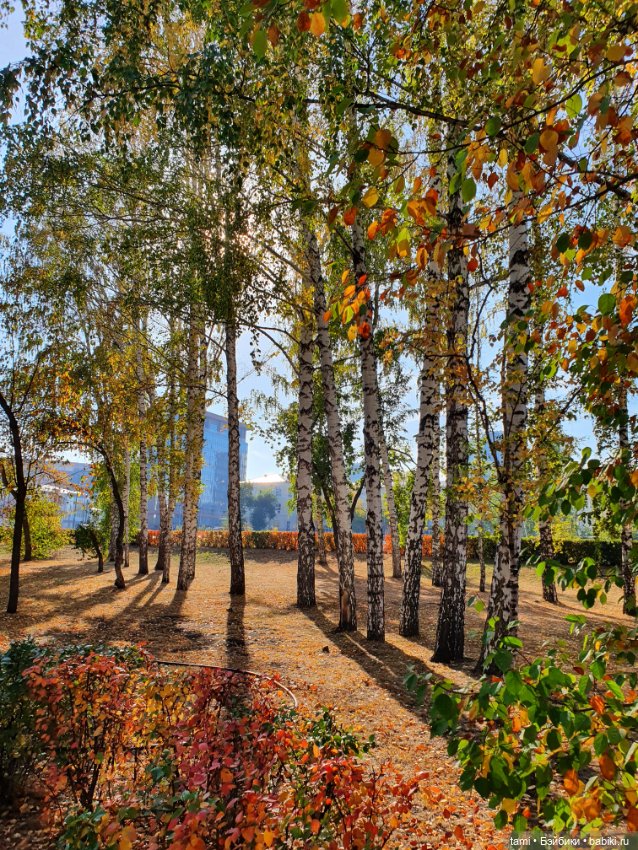 По улицам ходит Осень — Куклы Paola Reina (Паола Рейна): новинки