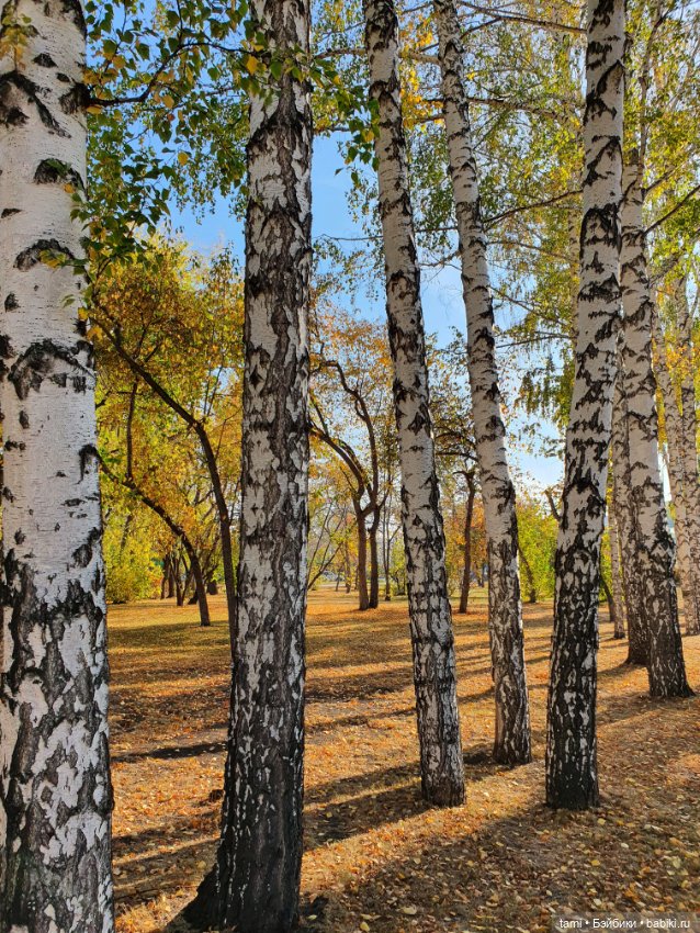 По улицам ходит Осень — Куклы Paola Reina (Паола Рейна): новинки