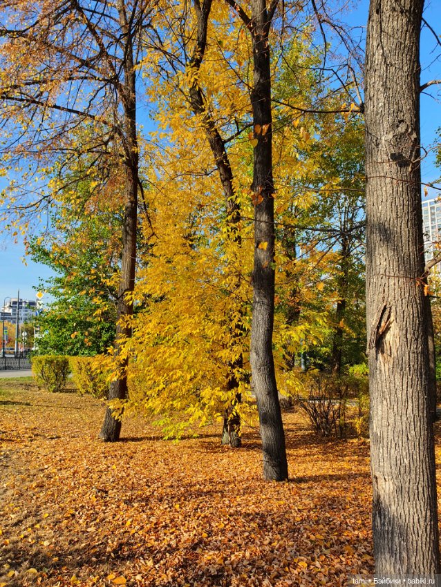 По улицам ходит Осень — Куклы Paola Reina (Паола Рейна): новинки (фото 3)