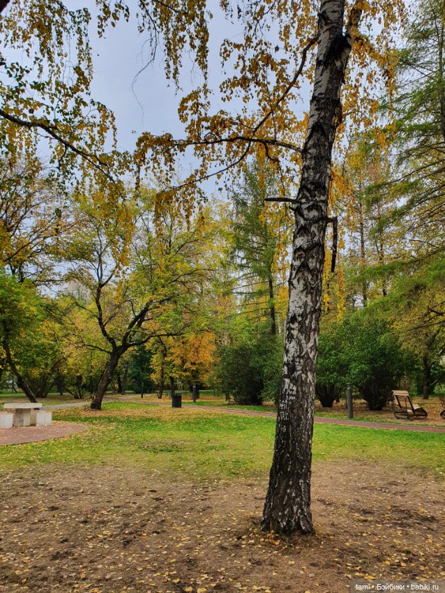 По улицам ходит Осень — Куклы Paola Reina (Паола Рейна): новинки