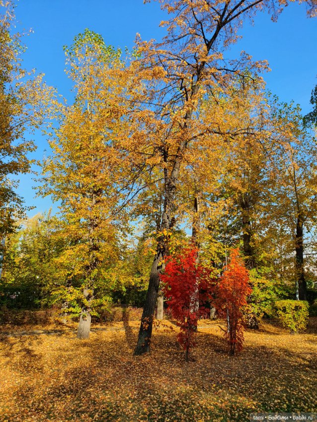 По улицам ходит Осень — Куклы Paola Reina (Паола Рейна): новинки