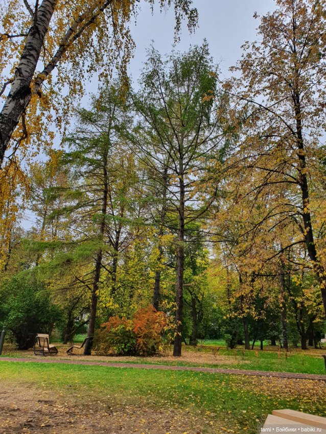 По улицам ходит Осень — Куклы Paola Reina (Паола Рейна): новинки (фото 6)