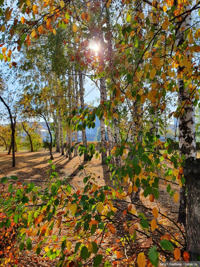 По улицам ходит Осень — Куклы Paola Reina (Паола Рейна): новинки