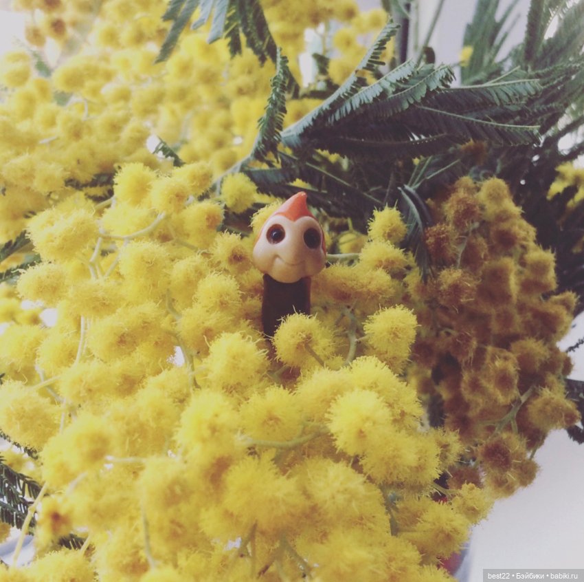 Noi от Wonder Frog — Фигурки Studio (фото 5)