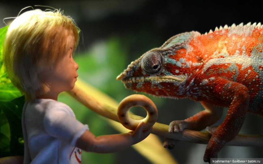 Осенние истории. Kruselings (фото 5)