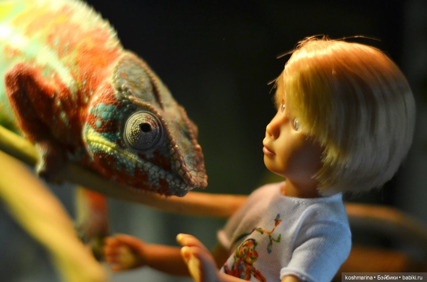 Осенние истории. Kruselings (фото 6)