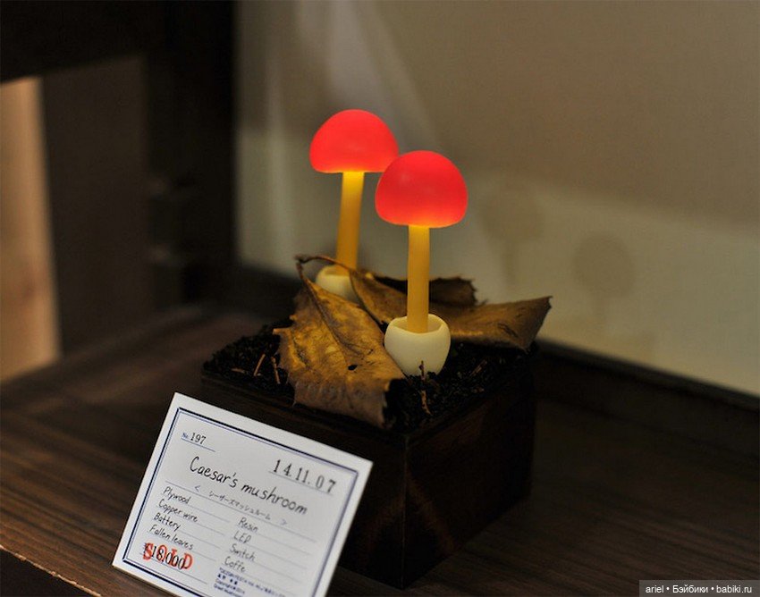 Завораживающие скульптуры из старых коряг от Юкио Такано (Yukio Takano) (фото 6)