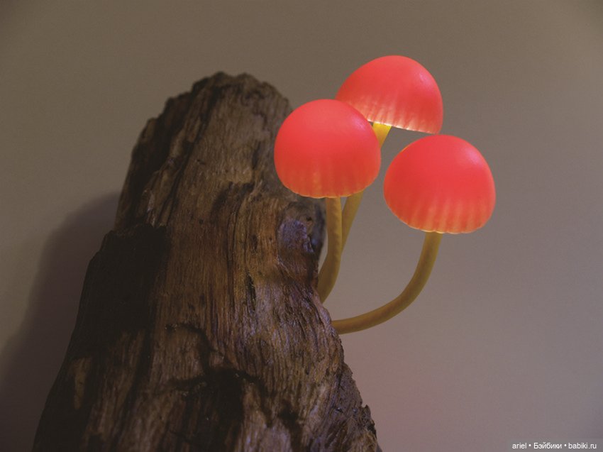 Завораживающие скульптуры из старых коряг от Юкио Такано (Yukio Takano)