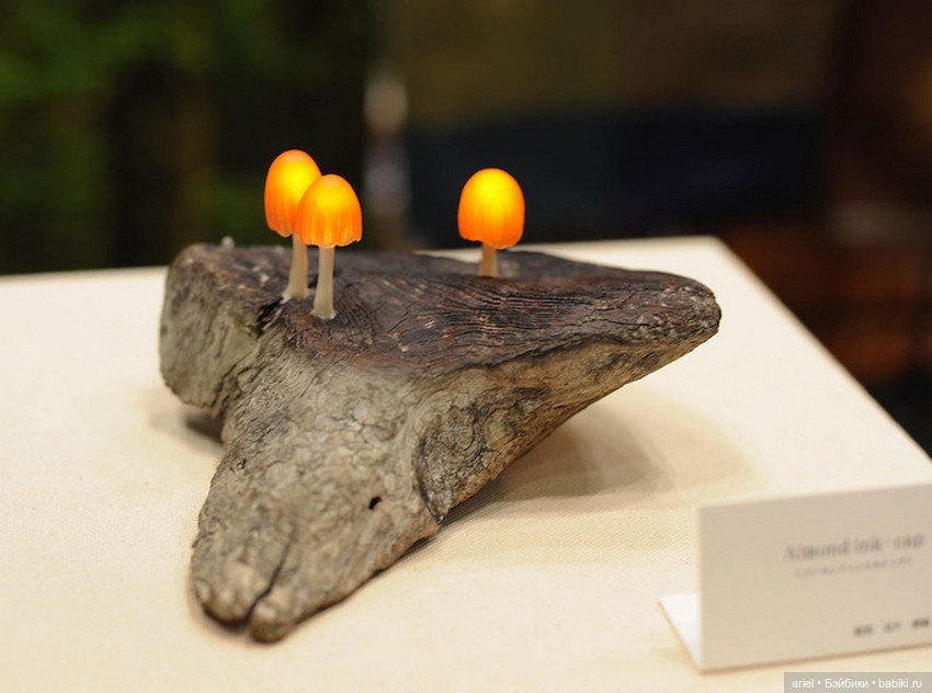 Завораживающие скульптуры из старых коряг от Юкио Такано (Yukio Takano) (фото 4)