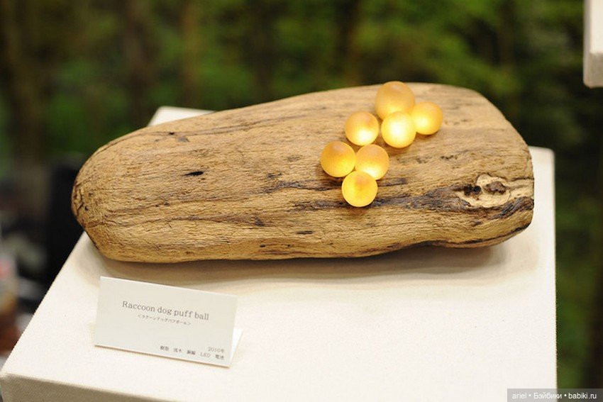 Завораживающие скульптуры из старых коряг от Юкио Такано (Yukio Takano) (фото 3)