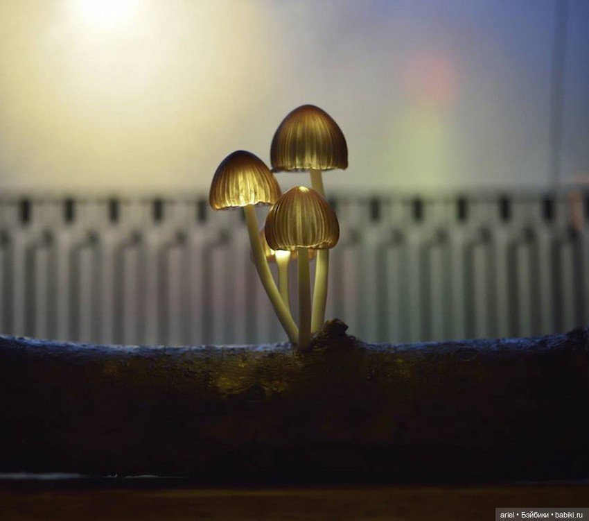 Завораживающие скульптуры из старых коряг от Юкио Такано (Yukio Takano) (фото 8)