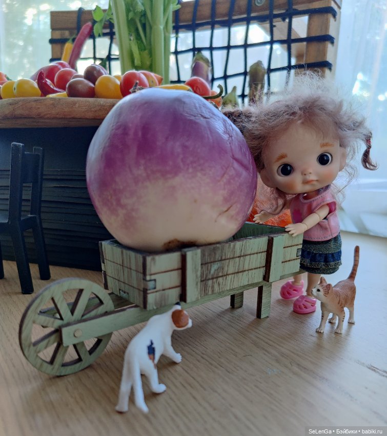 Дары осени и "Варя - помидорный троглодитик"