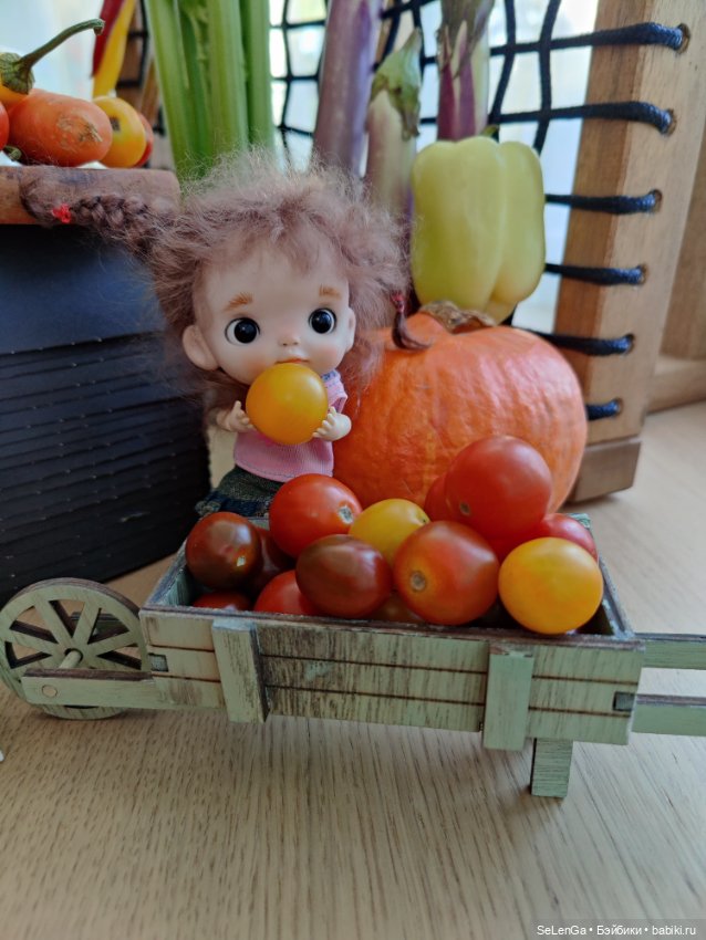 Дары осени и "Варя - помидорный троглодитик" (фото 3)