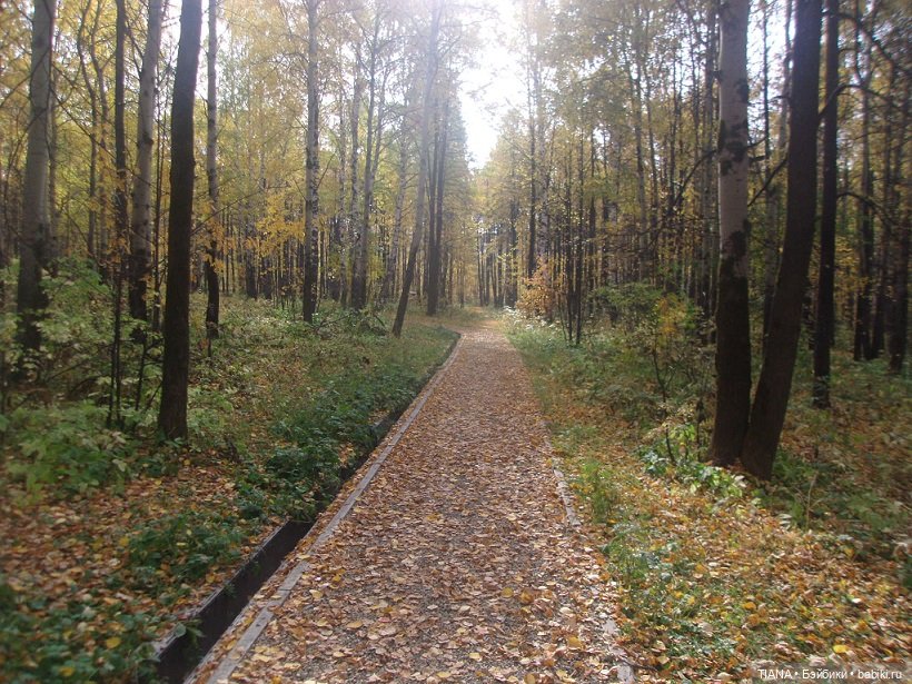 Бини мания. Мишки Beanie Babies (фото 3)