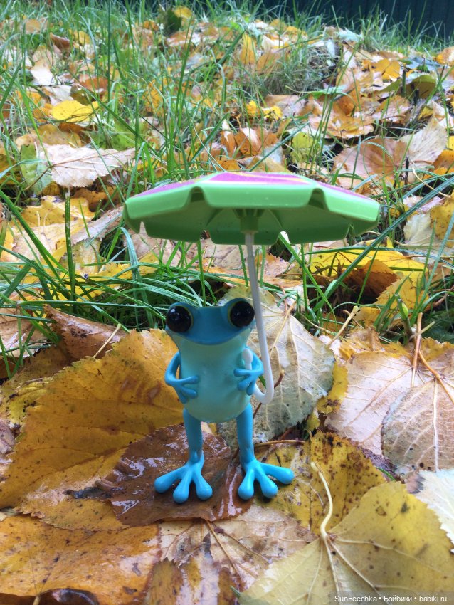 Apo frogs Маркус. Осенние денечки