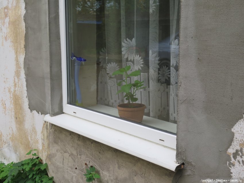 Новенькая винтажка с Балтики