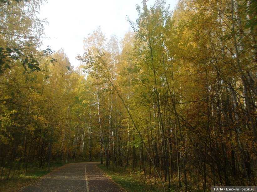 Бини мания. Мишки Beanie Babies (фото 2)