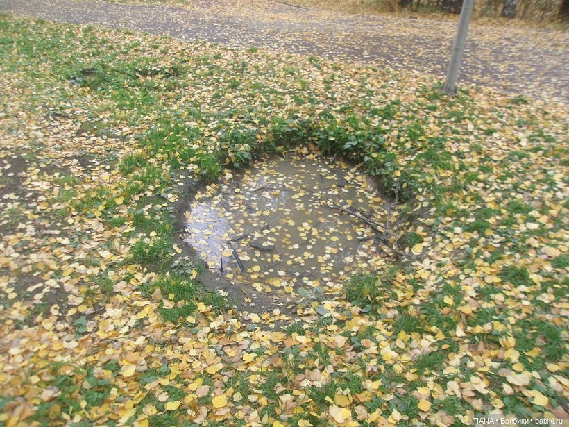 Бини мания. Мишки Beanie Babies (фото 9)