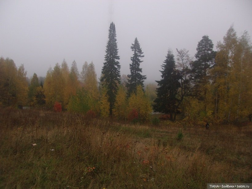 Бини мания. Мишки Beanie Babies (фото 5)