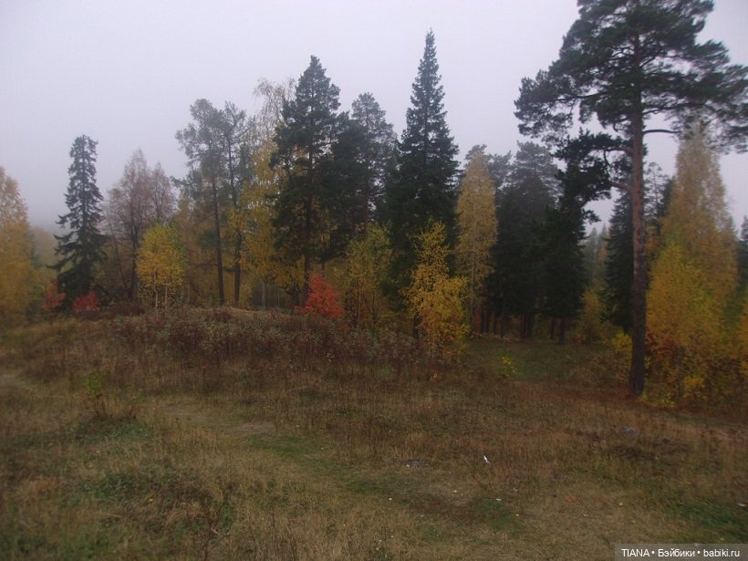 Бини мания. Мишки Beanie Babies (фото 6)