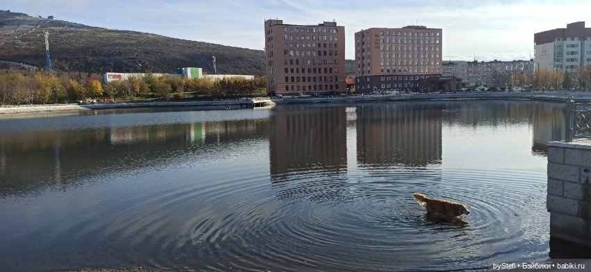 25.09.2022. Осенний Кировск Прогуляемся