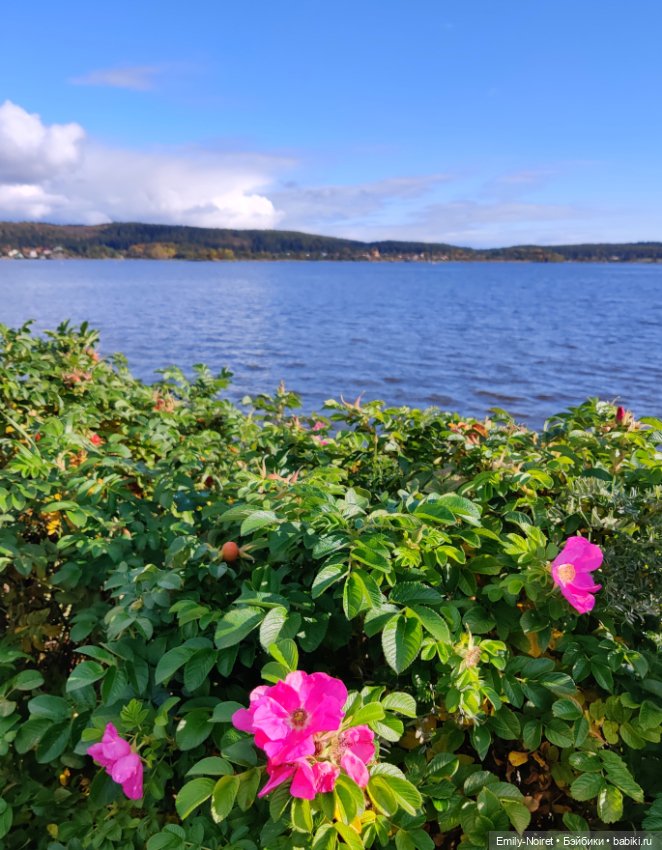 Карельские каникулы: Сортавала (Часть 2) (фото 9)