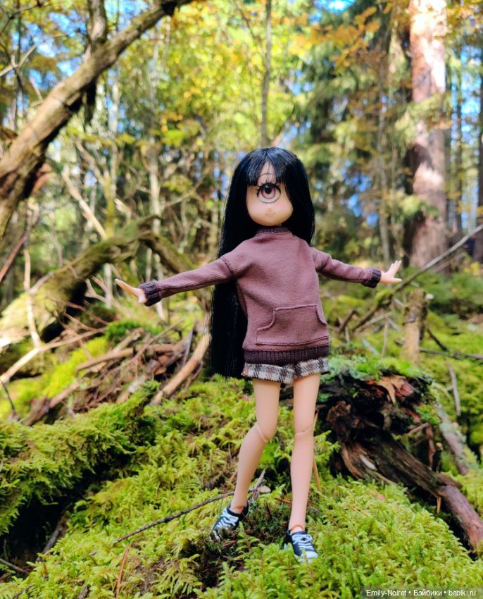 Карельские каникулы: Паасонвуори