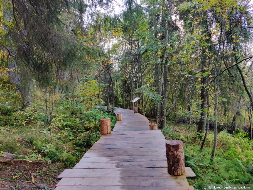 Карельские каникулы: Паасонвуори (фото 4)