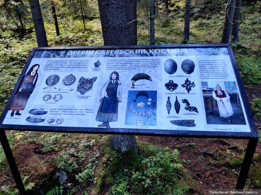 Карельские каникулы: Паасонвуори (фото 9)