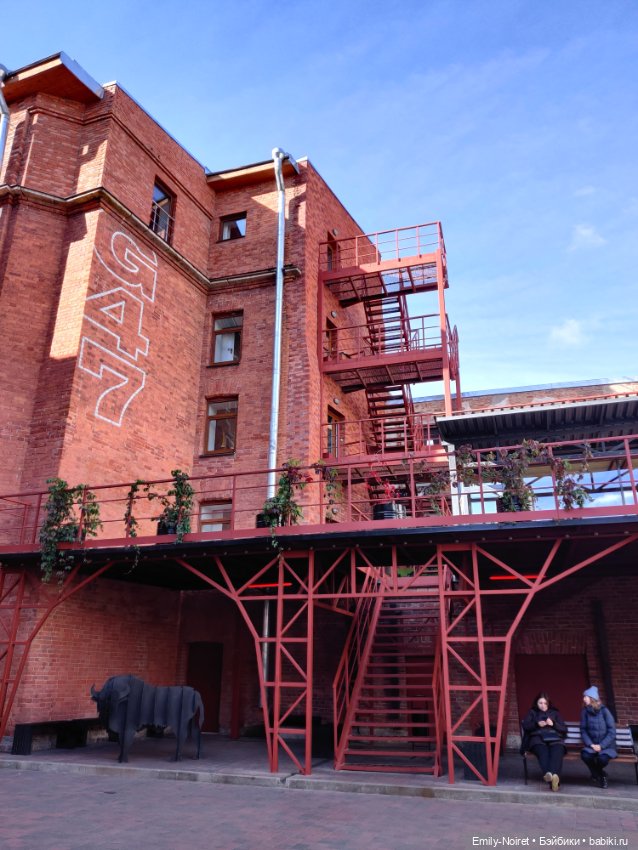 Карельские каникулы: Всё закончилось в Питере