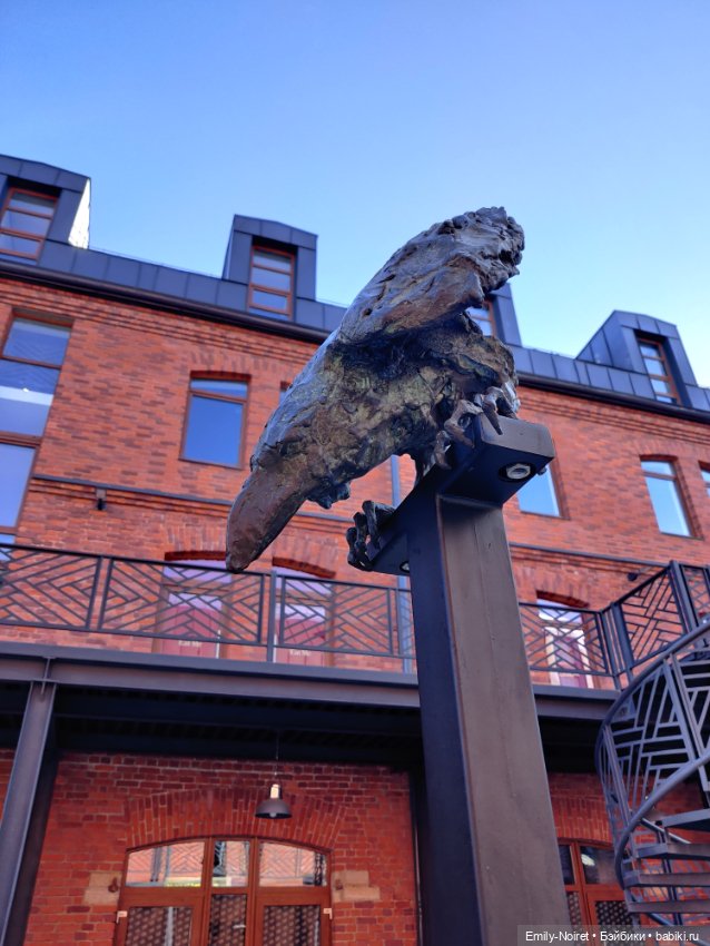 Карельские каникулы: Всё закончилось в Питере