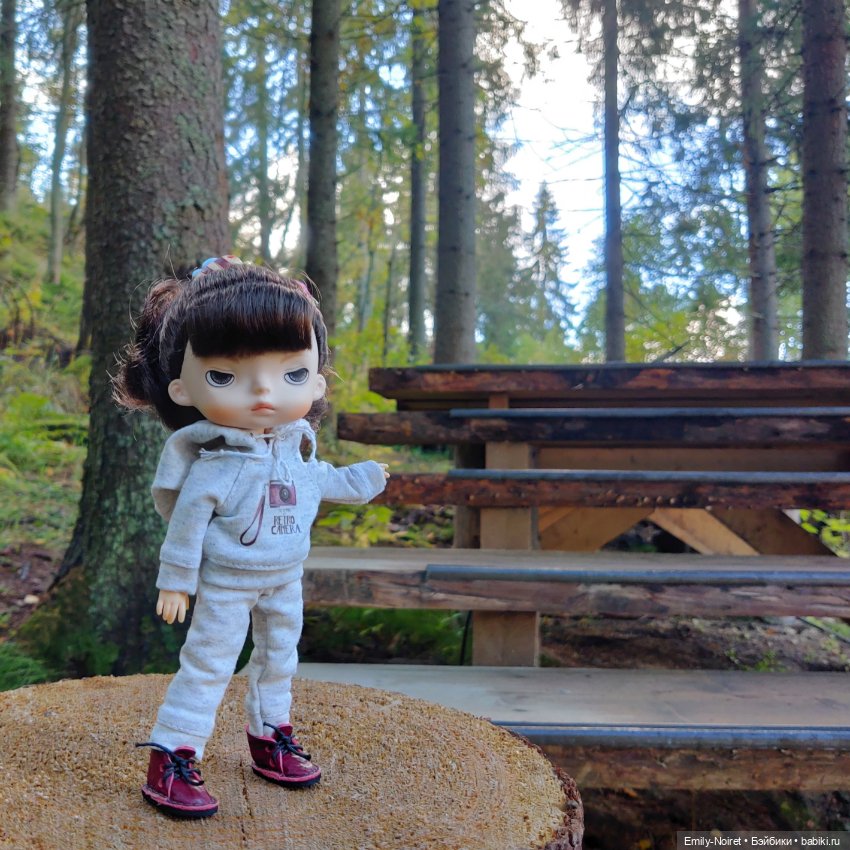 Карельские каникулы: Паасонвуори