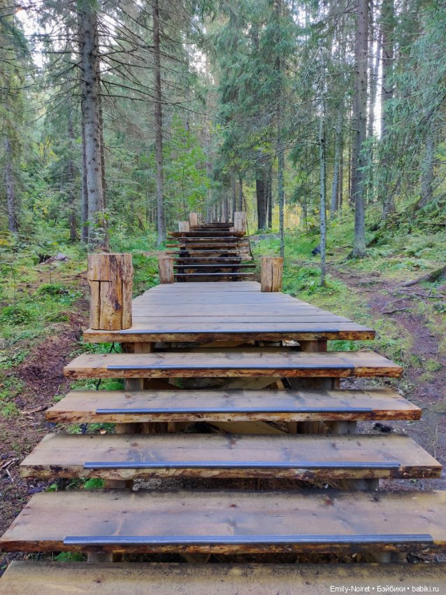 Карельские каникулы: Паасонвуори (фото 8)