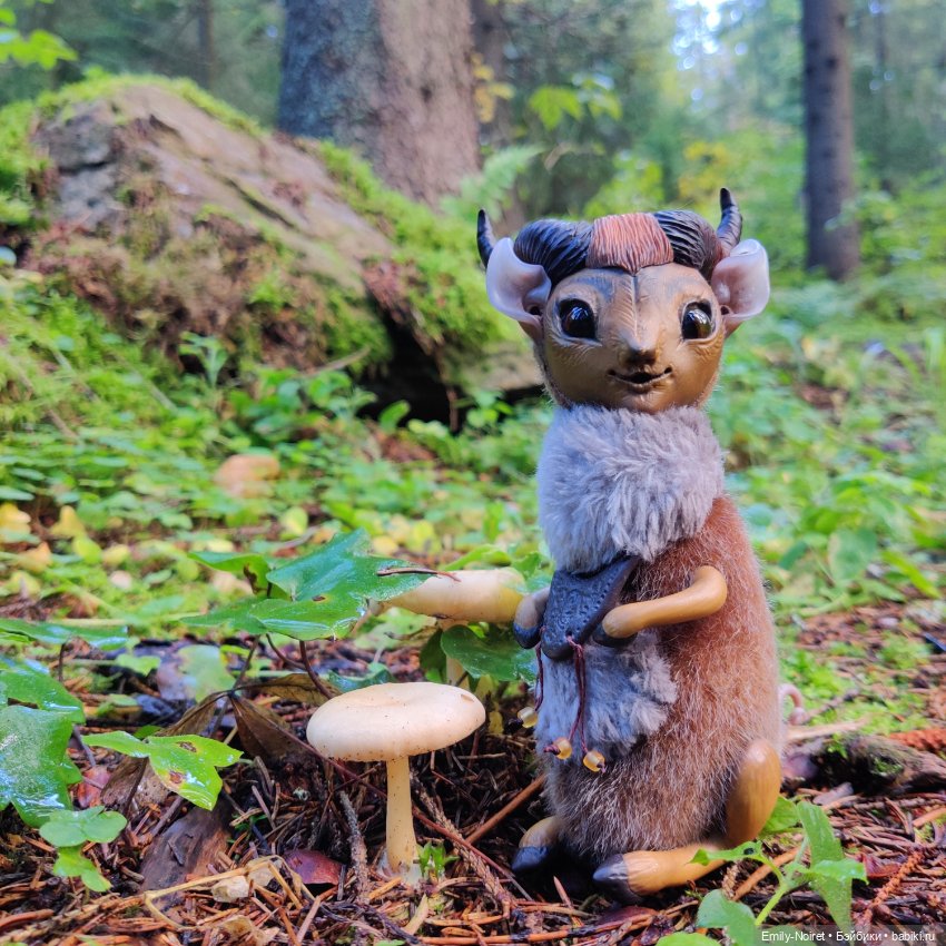 Карельские каникулы: Паасонвуори