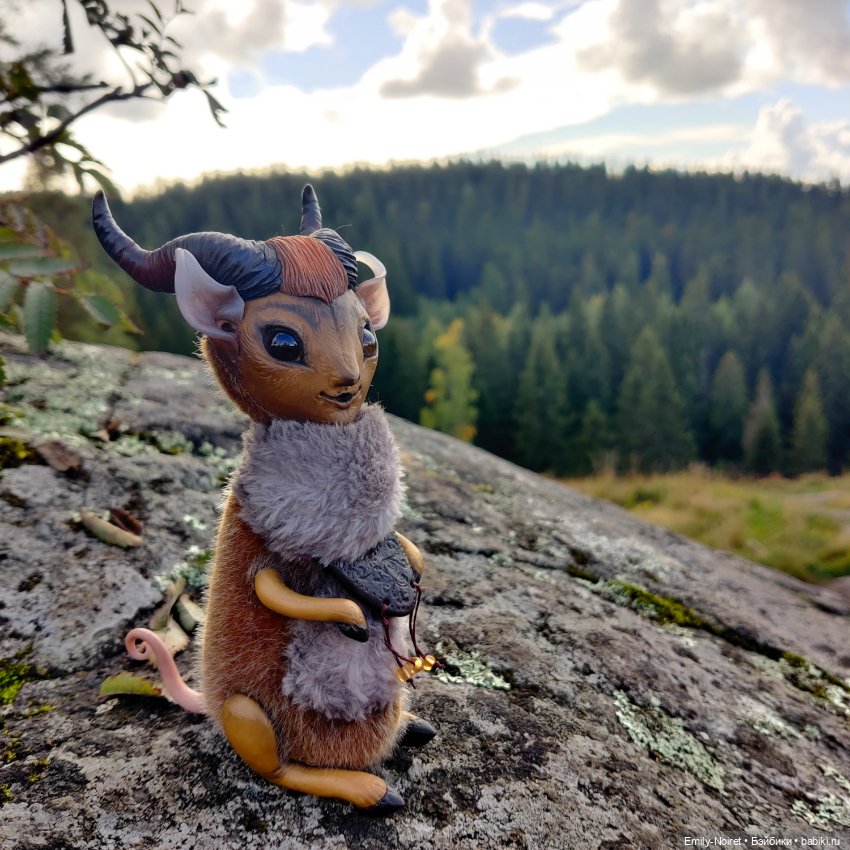 Карельские каникулы: Паасонвуори