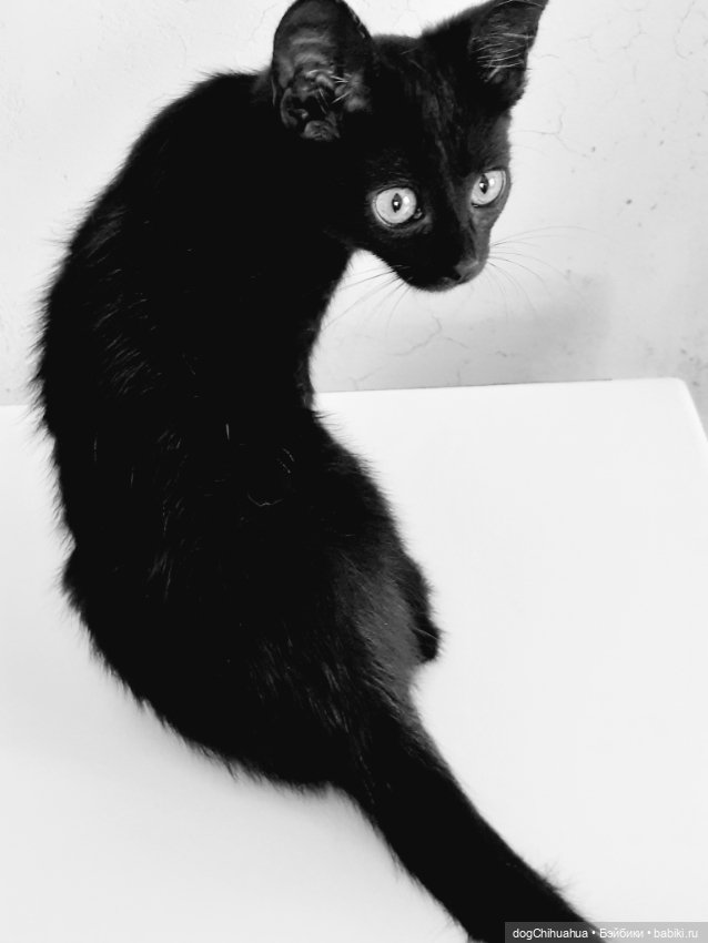 Девочки-зайки "Русская роспись" (фото 6)