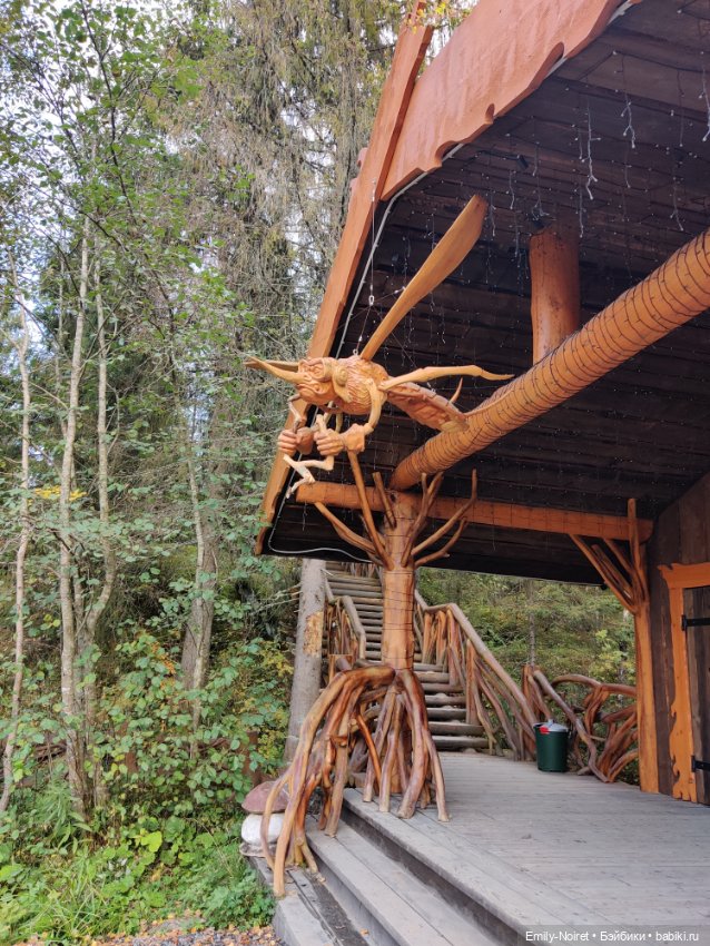 Карельские каникулы: Ахинкоски (фото 9)