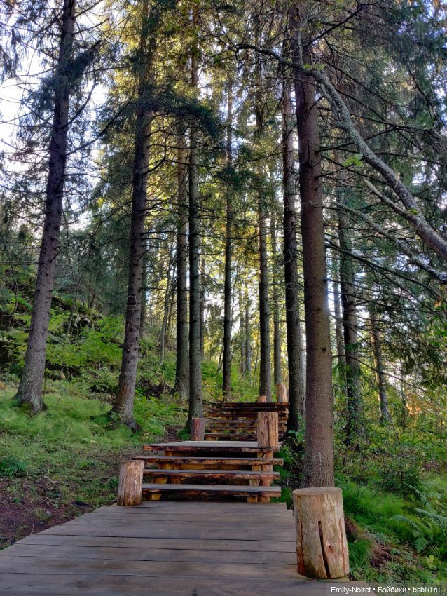 Карельские каникулы: Паасонвуори (фото 3)