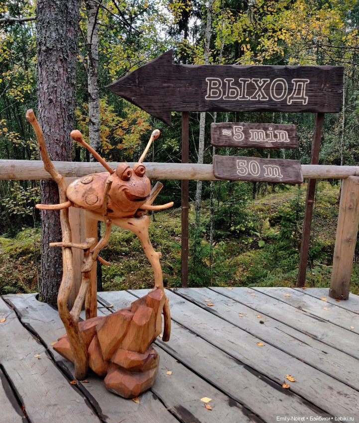 Карельские каникулы: Ахинкоски