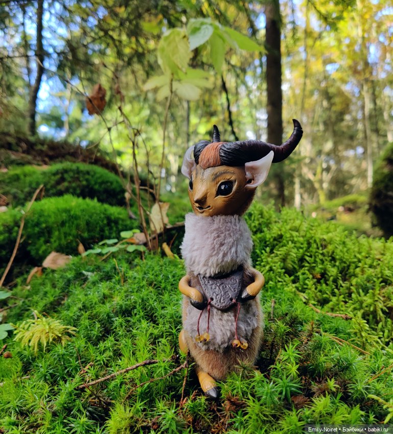 Карельские каникулы: Паасонвуори