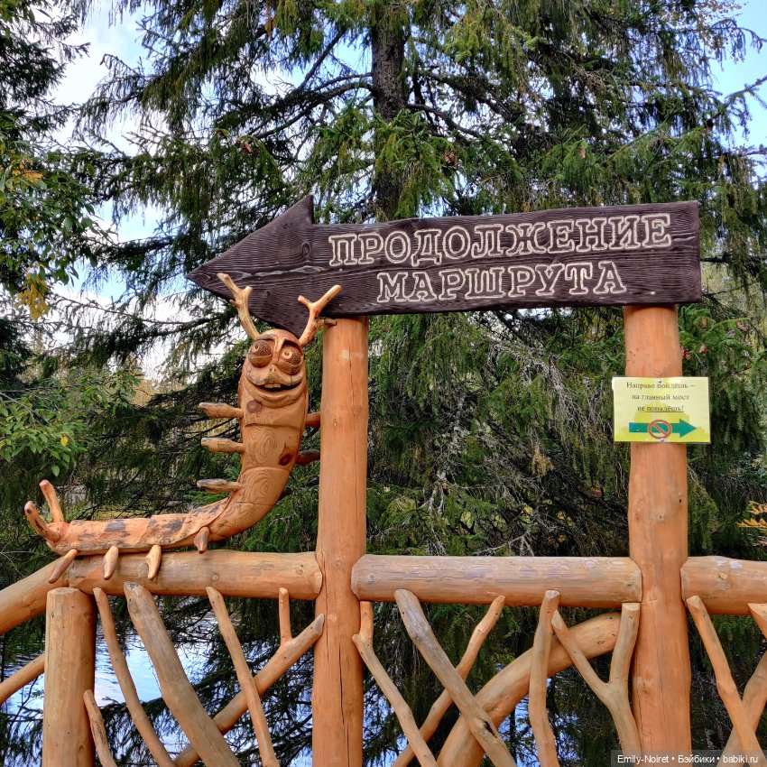 Карельские каникулы: Ахинкоски (фото 10)